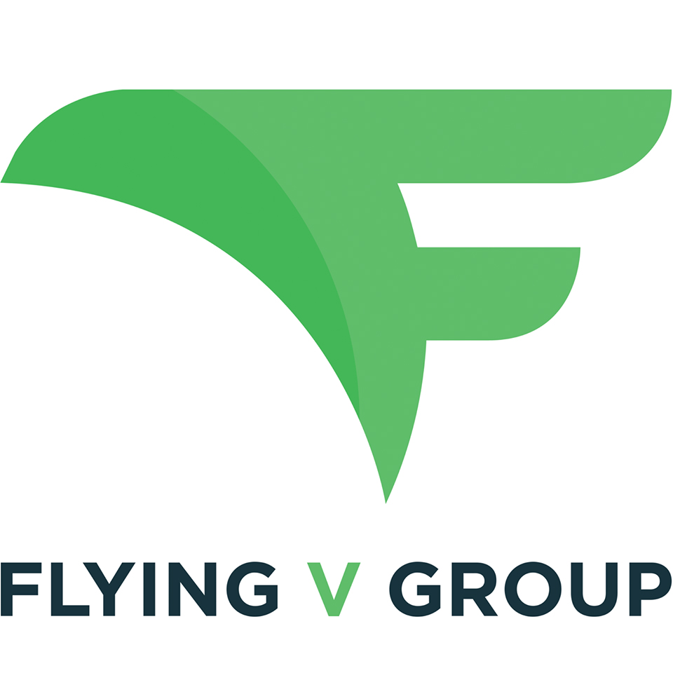 Flying V Group's Logo