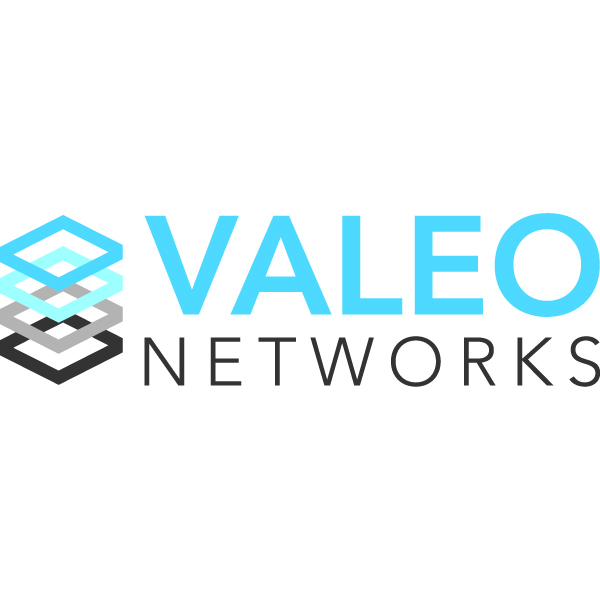 Valeo Networks's Logo