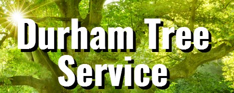 Durham Tree Service's Logo