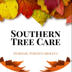 Southern Tree Care's Logo