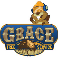 Grace Tree Service - Kokomo Indiana's Logo