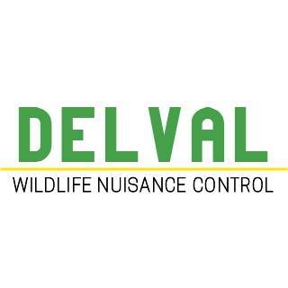 DelVal Wildlife Nuisance Control's Logo