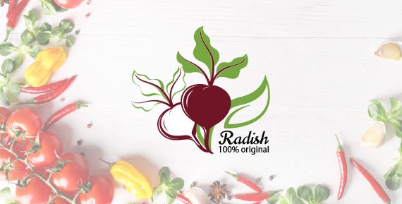 Radish-Logo-Portfolio-TheWebFactory