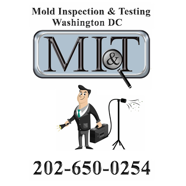 Mold Inspection & Testing DC's Logo