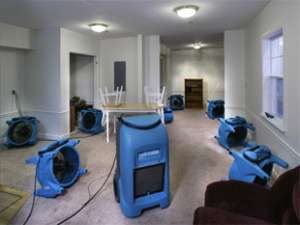 No Matter the Size of the Water Damage Cleanup, We Have You Covered