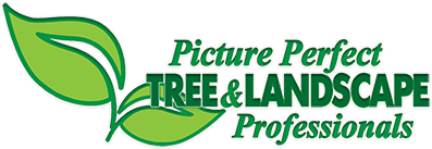 Picture Perfect Tree and Landscaping's Logo