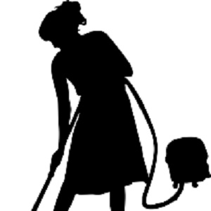 House Cleaning Pros Chapel Hill's Logo