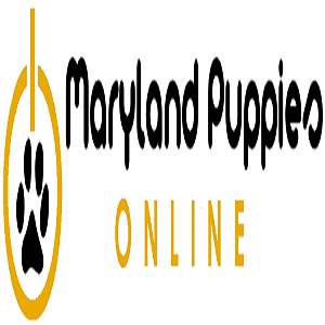 Maryland Puppies Online's Logo