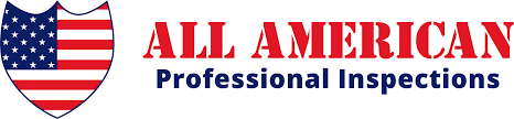 All American Professional Inspections's Logo