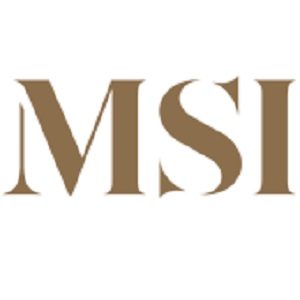 M S International's Logo
