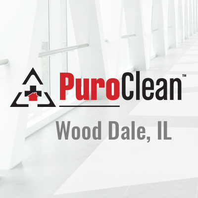 PuroClean Disaster Services - Wood Dale's Logo