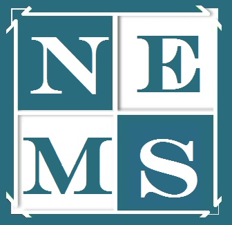 Northeast Marketing Strategies's Logo