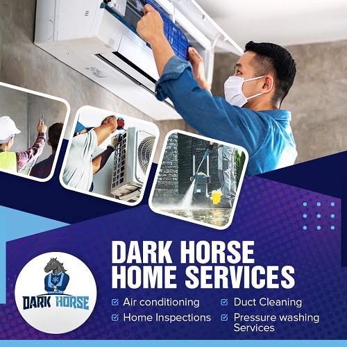 Dark Horse Home Services's Logo