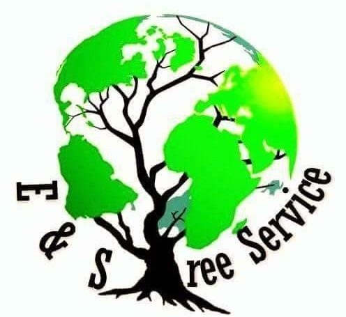 E&S Tree Service