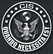 Critical Intervention Service's Logo