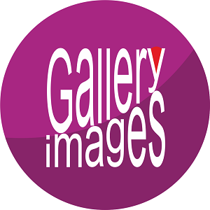 STANEWSKI LLC (Gallery Images)'s Logo