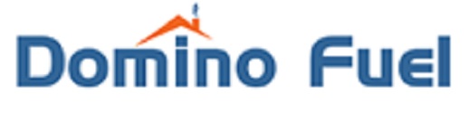 Domino Fuel's Logo