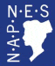 napnescertsprep.com's Logo