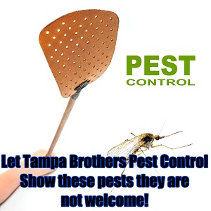 Tampa Brothers Pest Control's Logo