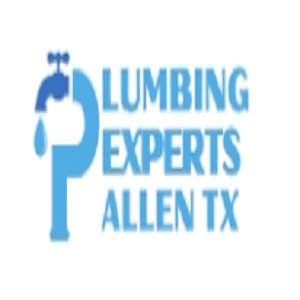 Plumbing Experts Allen TX's Logo