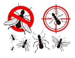 AMPM Exterminators's Logo