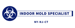 Indoor mold Specialist's Logo