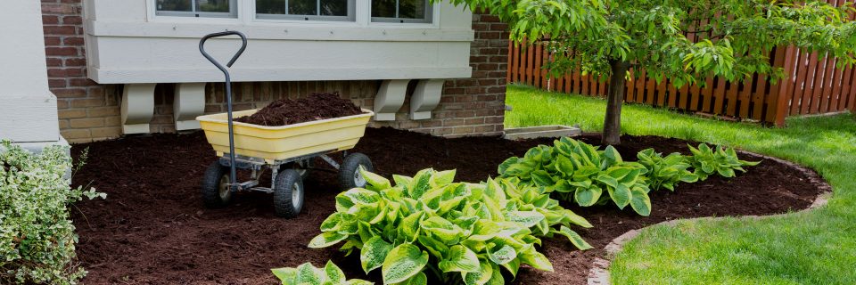 Landscaping-Services