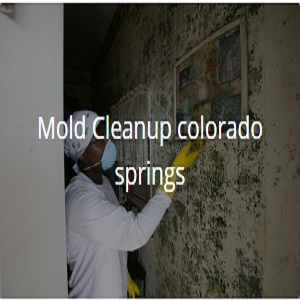 Mold Removal Colorado Springs LLC