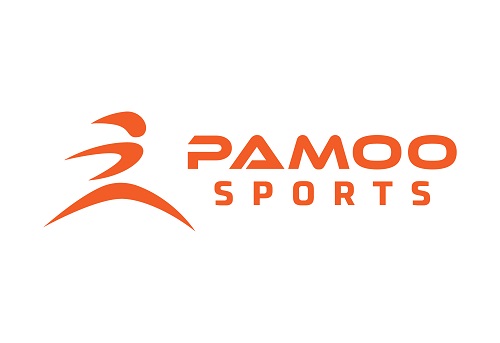 Pamoo Sports Industry's Logo