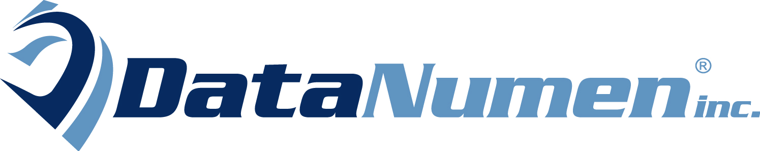 DataNumen, Inc.'s Logo