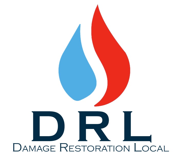 DRL Professional Services's Logo