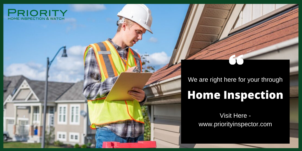Professional Property Inspections
