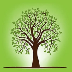 Tree Service of Charlottesville's Logo