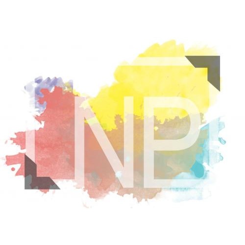 Naissance Photography's Logo