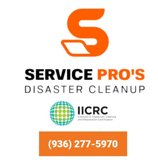 Services Pros of Conroe's Logo