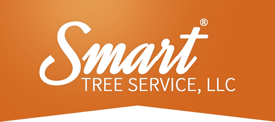 Smart Tree Service's Logo