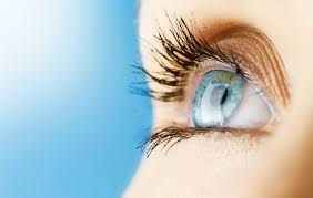 Bay Vision Eyecare Optometry