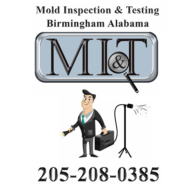 Mold Inspection & Testing Birmingham AL's Logo