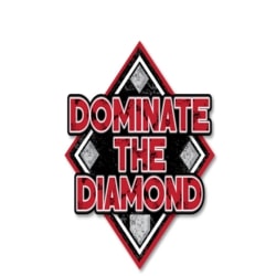 Dominate The Diamond's Logo