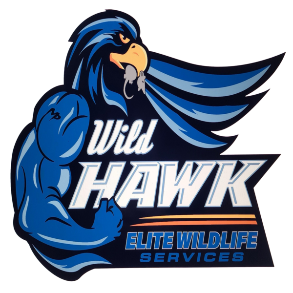 WildHawk Elite Wildlife Services's Logo