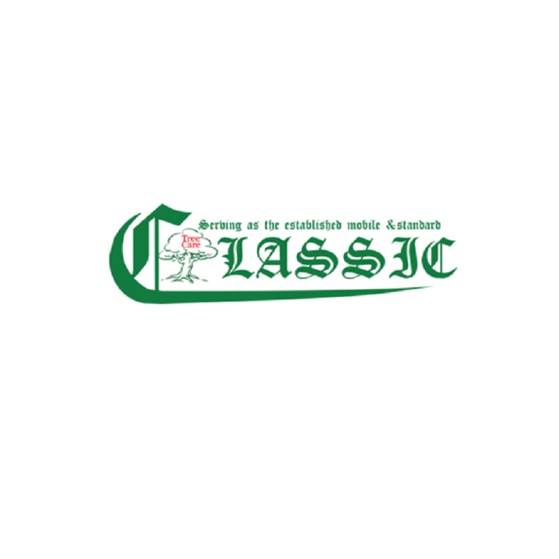 Classic Tree's Logo