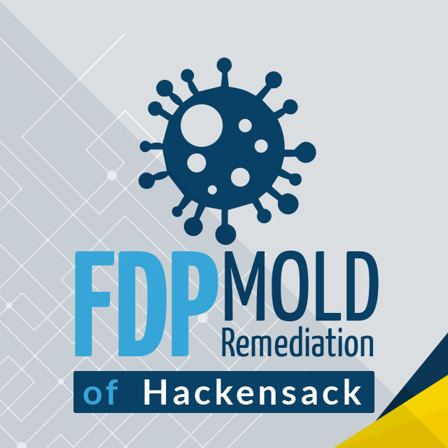 FDP Mold Remediation of Hackensack's Logo