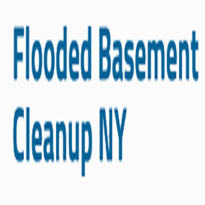 Flooded Basement Cleanup Companies Long Island's Logo