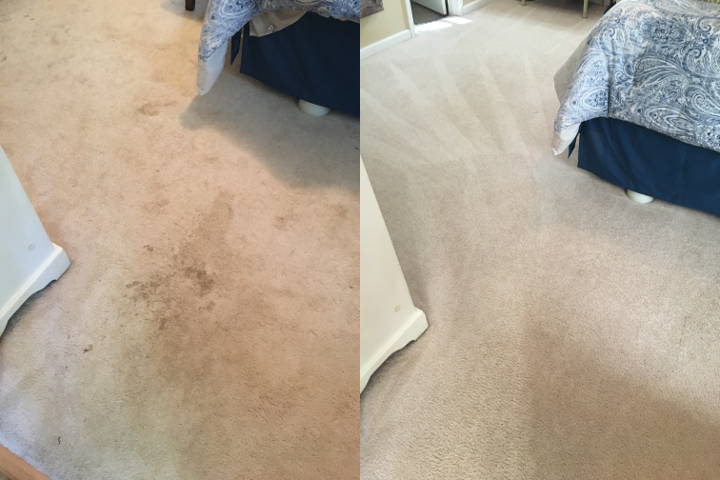 carpet cleaning service raleigh
