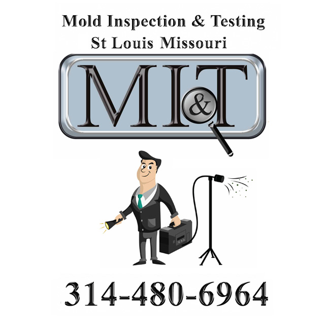 Mold Inspection & Testing St. Louis MO's Logo