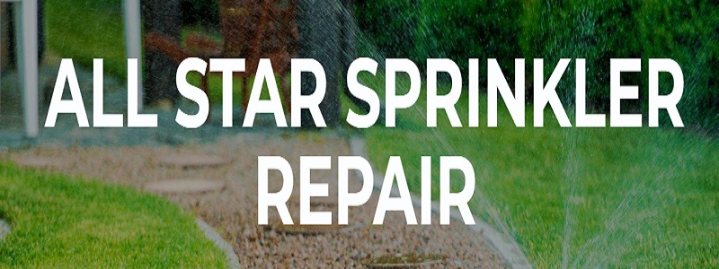 All Star Sprinker New Tampa's Logo