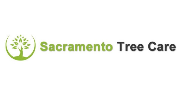Sacramento Tree Care