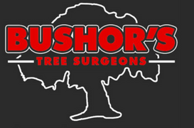 Bushor's Tree Surgeons's Logo