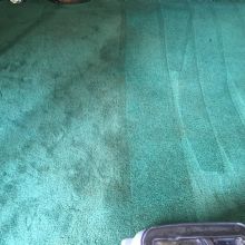 Drymaster Carpet & Upholstery Cleaning