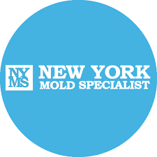 New York Mold Specialist's Logo